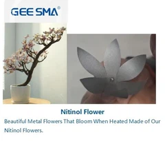 Dispositivos y componentes de nitinol